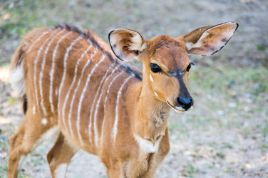 Similar image 22629796