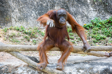 Similar image 22629797