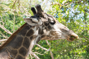 Similar image 22629798