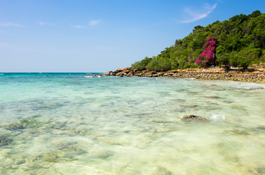 Similar image 22629804