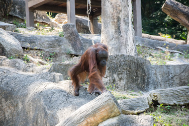 Similar image 22629805