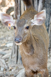 Similar image 22629807