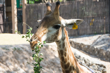 Similar image 22629811