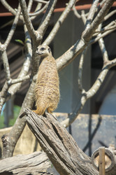 Similar image 22629824