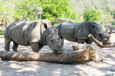 Similar image 22629825