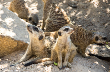 Similar image 22629828