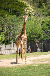 Similar image 22629839