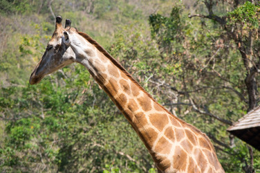 Similar image 22629840