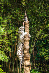 Similar image 22629841