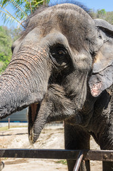 Similar image 22629855