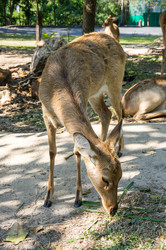 Similar image 22629893