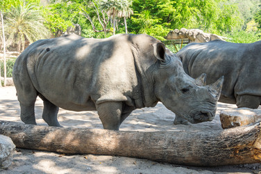 Similar image 22629911