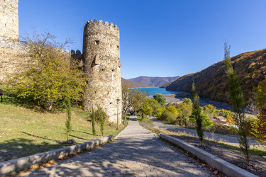 Similar image 22629951