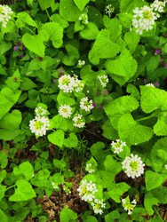 Similar image 22629395