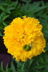 Similar image 22631775