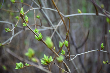 Similar image 22631794