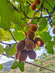 Similar image 22633251