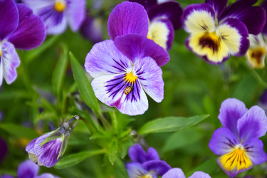 Similar image 22631795