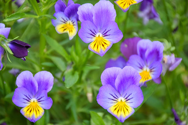 Similar image 22631796