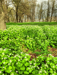 Similar image 22629396