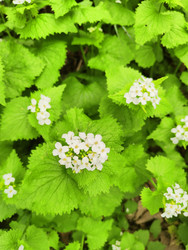 Similar image 22629397