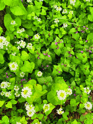 Similar image 22629398