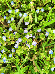 Similar image 22629399