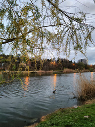 Similar image 22629400