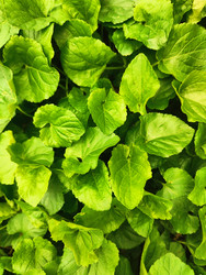 Similar image 22629401