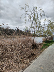 Similar image 22629402