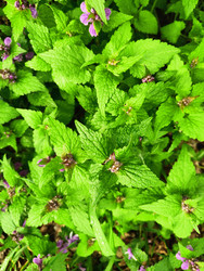 Similar image 22629403