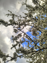 Similar image 22629404