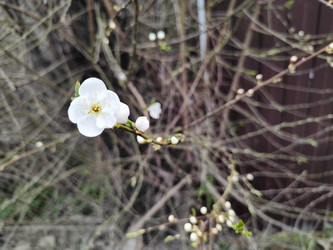 Similar image 22629409