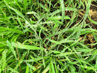 Similar image 22629410