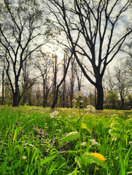 Similar image 22629412