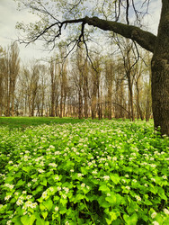 Similar image 22629413