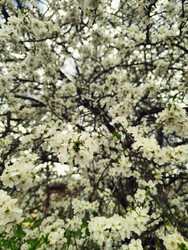 Similar image 22629414