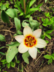 Similar image 22629415