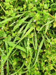 Similar image 22629416