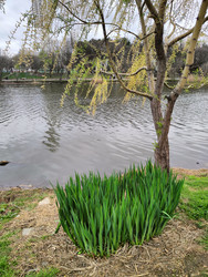 Similar image 22629418