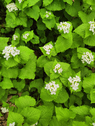 Similar image 22629419