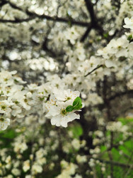 Similar image 22629421