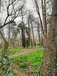 Similar image 22629422