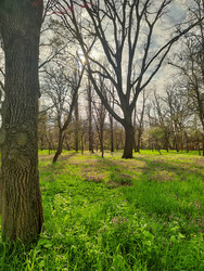 Similar image 22629423