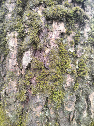 Similar image 22629435