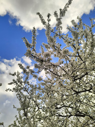 Similar image 22629436