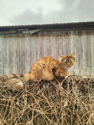 Similar image 22629437