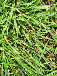 Similar image 22629408