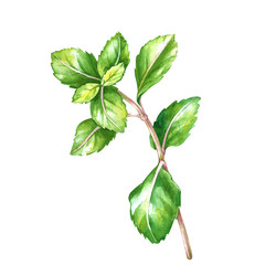 Similar image 22633432