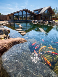 Similar image 22631684